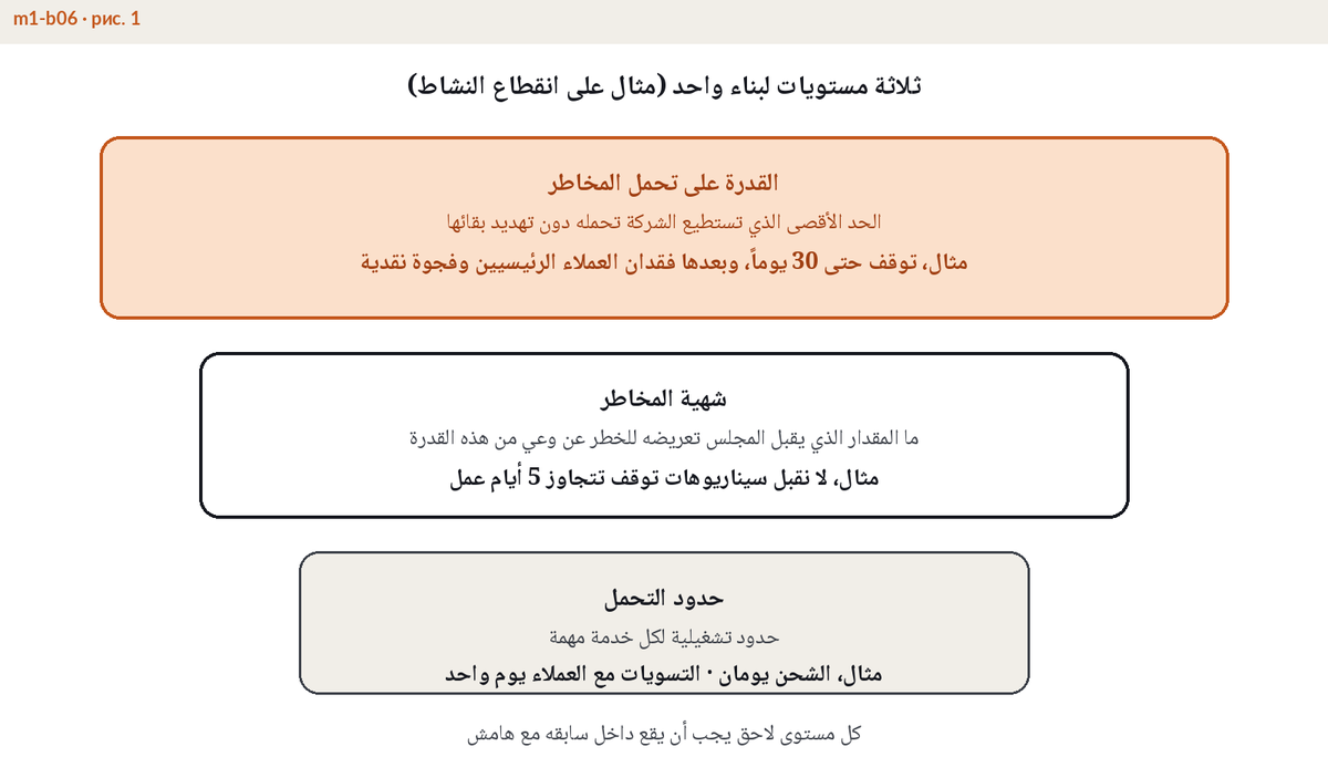 رسم يوضح القدرة على تحمل المخاطر وشهية المخاطر وحد تحمل الأثر كحدود متداخلة